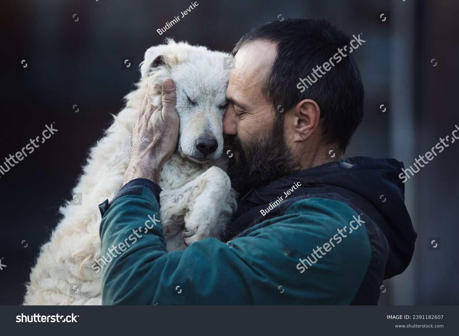 Pet Rescue
